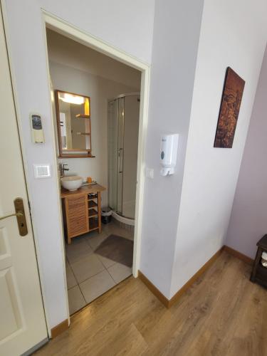 a bathroom with a sink and a mirror at Maison d'Hôtes Le Cadran Solaire in Courcelles