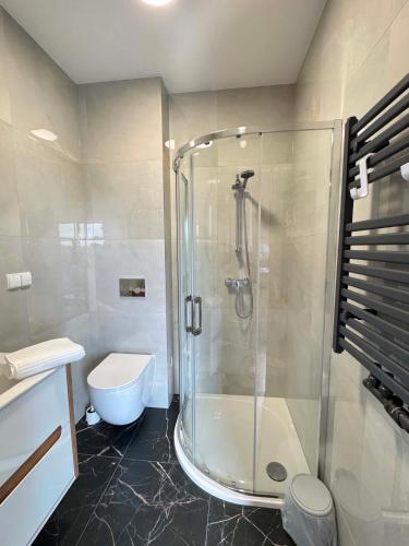 a bathroom with a shower and a toilet at Rajska Zatoka Jantar in Jantar