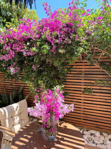 a vase filled with pink flowers on a table at Carmena Residence in Skala