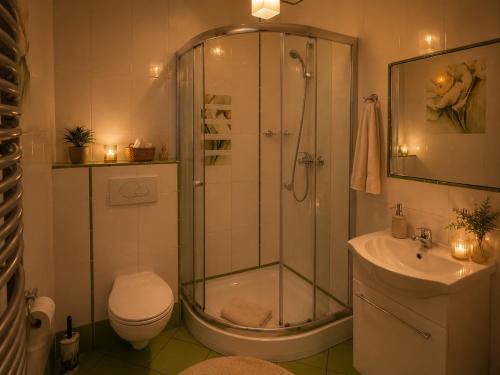 a bathroom with a shower and a toilet and a sink at Dworek w Karpaczu in Karpacz