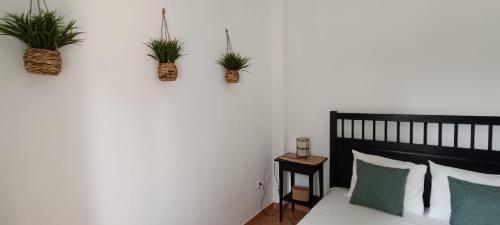 a bedroom with two potted plants on the wall at Quinta Do Pinheirão in Coruche