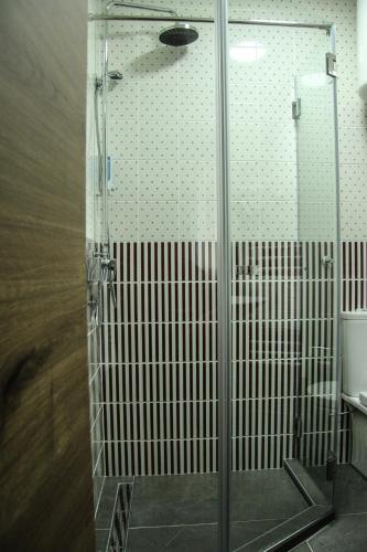 a shower with a glass door in a bathroom at B&B Villa Panuka in Pančevo