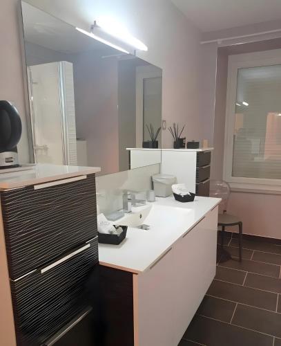 a bathroom with a sink and a large mirror at Entre Brionnais Et Bourbonnais in Montaigüet-en-Forez