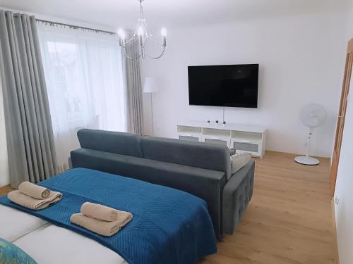a living room with a couch and a tv at Royal Nest Apartment Sandomierz in Sandomierz