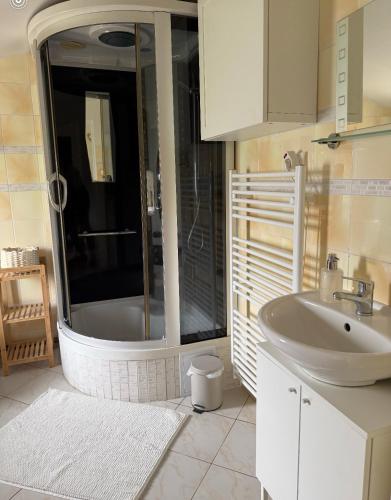 a bathroom with a shower and a sink and a tub at House Pankraz Jitrava in Rynoltice