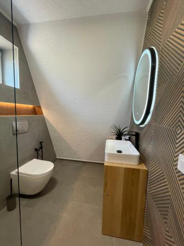 a bathroom with a sink and a toilet and a mirror at A Frame 2 Transalpina in Sebeş