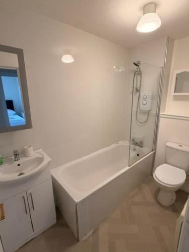 a white bathroom with a toilet and a sink at Kelpies Serviced Apartments Alexander- 2 Bedrooms in Falkirk