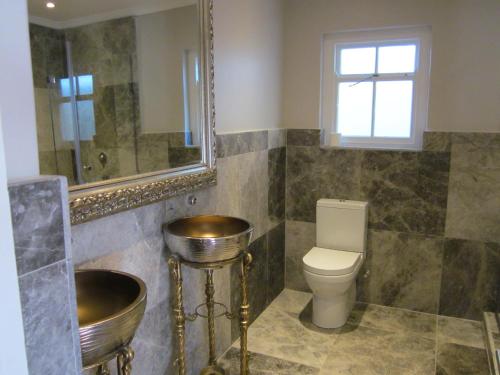 a bathroom with a toilet and a mirror and a sink at The Gregoire Boutique Villa in Hermanus