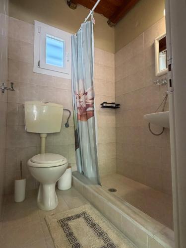 a bathroom with a toilet and a shower at The Beach House in Vasilika