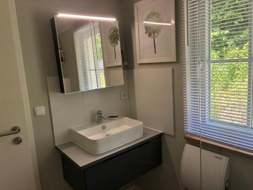 a bathroom with a sink and a mirror at Ferienhaus Himmelblau in Waldsieversdorf