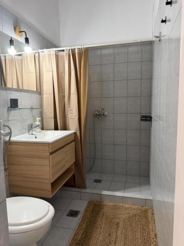 a bathroom with a shower and a toilet and a sink at The Beach House in Vasilika