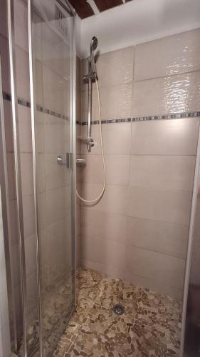 a shower with a glass door in a bathroom at Maison Cistaredda in Sotta