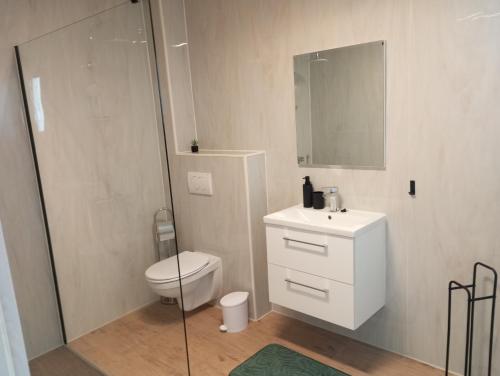 a bathroom with a toilet and a sink and a mirror at Vinea Apartma in Gornja Radgona