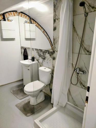a bathroom with a toilet and a shower at Ubytovanie Čadca in Čadca