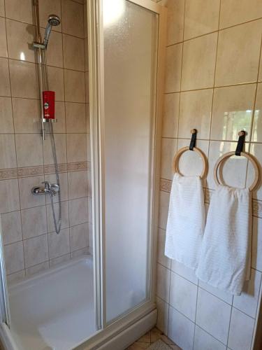 ein Badezimmer mit Dusche und zwei weißen Handtüchern in der Unterkunft Sweet Dalia in Molvice