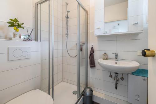 a bathroom with a shower and a toilet and a sink at Traumwohnung am Sorpesee in Sundern