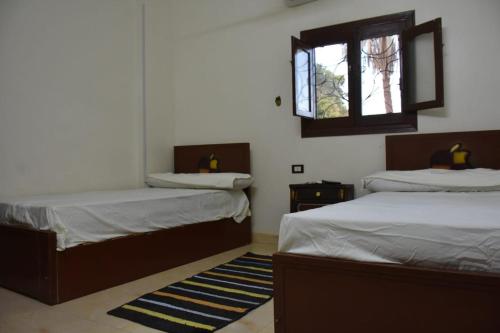 a room with two beds and a window at Nobal best house in Aswan