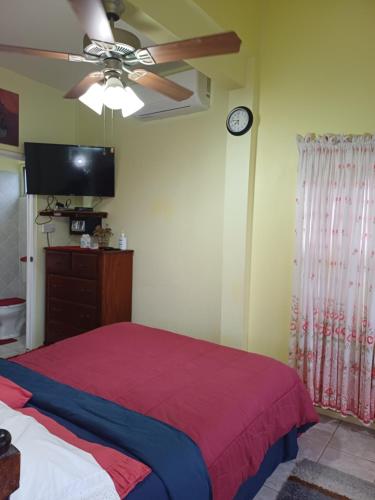a bedroom with a bed and a ceiling fan at PeachBloom Terrace Inn in Saint Georgeʼs
