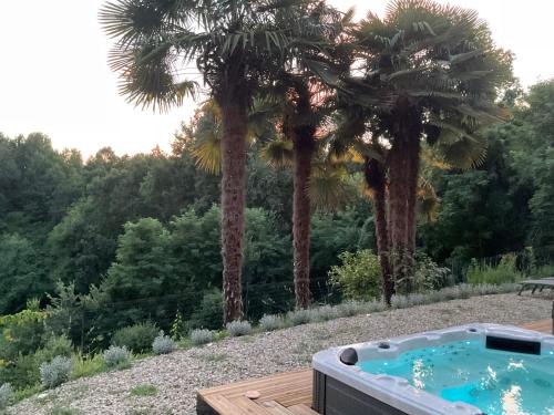 a hot tub in a yard with two palm trees at Oasi del Silenzio a Piea in Piea