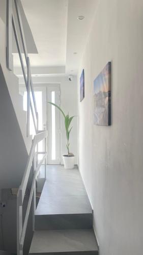 a staircase in a white room with a potted plant at CENTRAL LUXURY Rooms in Grugliasco
