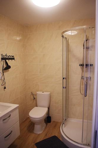 a bathroom with a toilet and a shower at Laskowy Sad pokoje gościnne agroturystyka in Wieniec