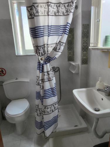 a bathroom with a toilet and a shower curtain at Hibiscus Green Apartments in Afantou