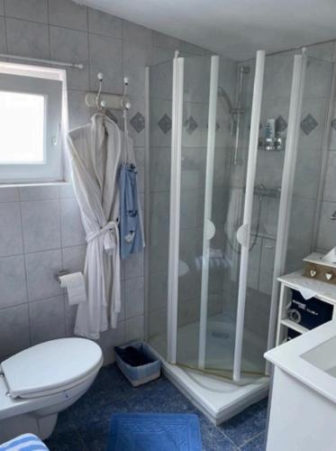a bathroom with a shower and a toilet at Ferienwohnung Lykos in Süderbrarup