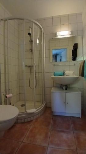 a bathroom with a shower and a sink and a toilet at Les2Châteaux in Windstein