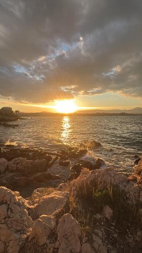 Le Pavillon du Cap d'Antibes photo 14