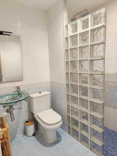 a bathroom with a toilet and a glass wall at Apartamento Altafulla in Altafulla