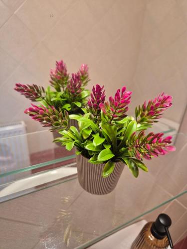 a vase filled with pink flowers on a glass table at Seaside Vatera in Vatera