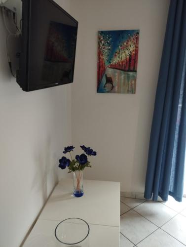 S-V Apartment