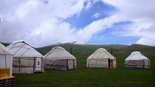 a group of tents in a field with a mountain at Sonkol-resort in Song-Kul