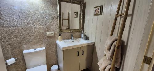 a bathroom with a sink and a toilet and a mirror at Casa Coba in Camijanes