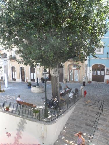 Sunny and cosy apartment at Baixa downtown