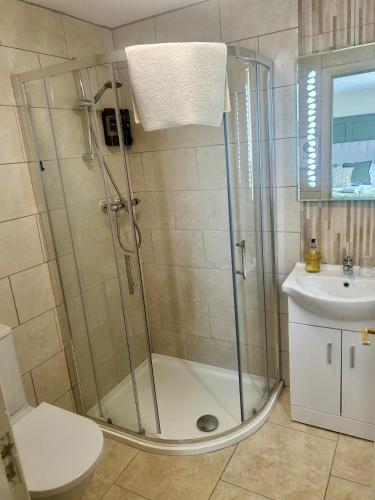 a bathroom with a shower and a toilet and a sink at The Boutique Bungalow in Bundoran