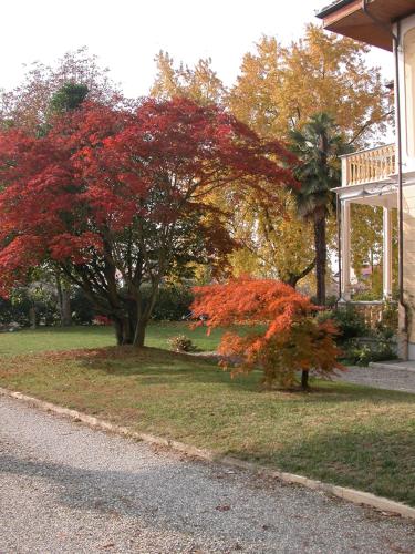Сад в Villa D'Azeglio