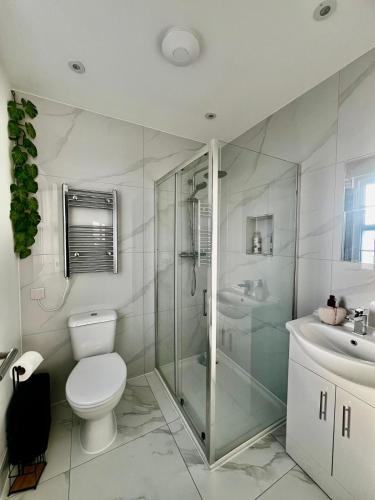 a bathroom with a shower and a toilet and a sink at The Grove Sutton in Sutton