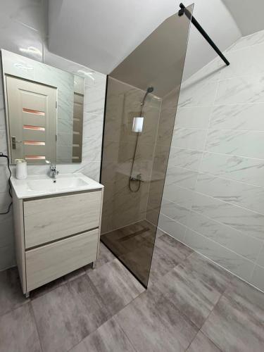 a bathroom with a shower and a sink and a mirror at Luca Rooms in Curtea de Argeş