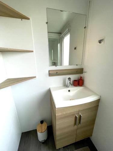 a bathroom with a sink and a mirror at Le Soléa in Le Cailar
