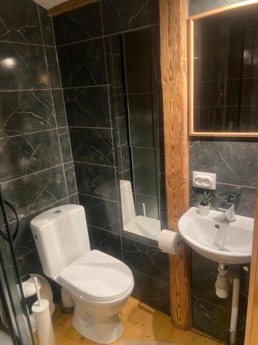 a bathroom with a white toilet and a sink at Cesis city apartment in Cēsis