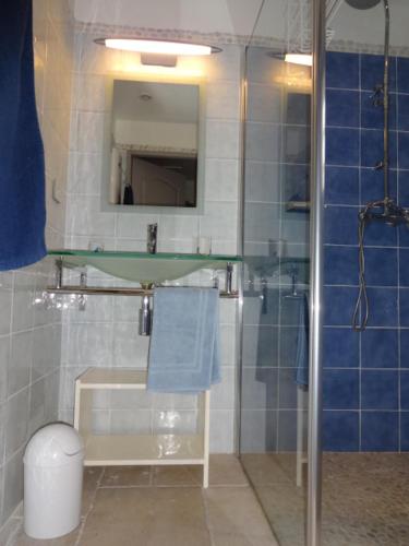 uma casa de banho com um chuveiro, um lavatório e um espelho. em La Pauseto em Fontvieille