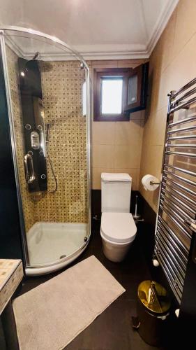 a bathroom with a shower and a toilet and a sink at Fay's Apartment in Limenas