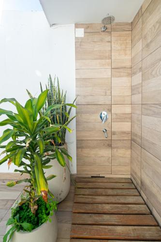 a bathroom with a shower with two potted plants at Augusta in Salta