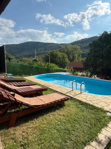 a large swimming pool with a picnic table next to it at Vikendica Andrija Drina in Gvozdačko Polje