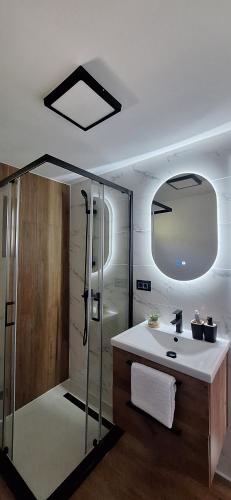 a bathroom with a shower and a sink at Nest for Rest Nova Varos in Nova Varoš