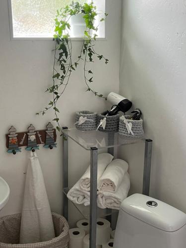 a bathroom with a toilet and a shelf with towels at 1 room apartment with its own yard in Pärnu