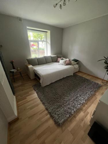 a living room with a large bed and a rug at 1 room apartment with its own yard in Pärnu