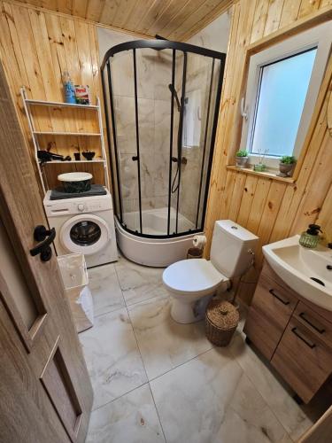 a bathroom with a shower and a toilet and a sink at Sosnowa Ostoja Jurata in Jurata