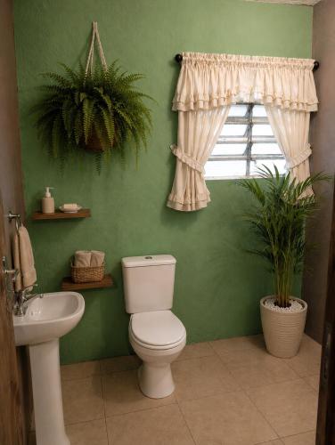 a green bathroom with a toilet and a window at Recanto Seu Luis Piscina,Represa e caiaques in Ibiúna